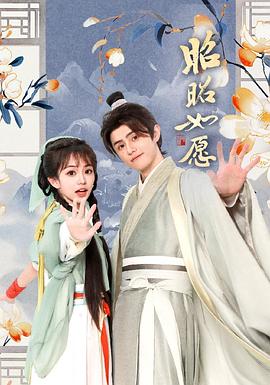 昭昭如愿影视海报