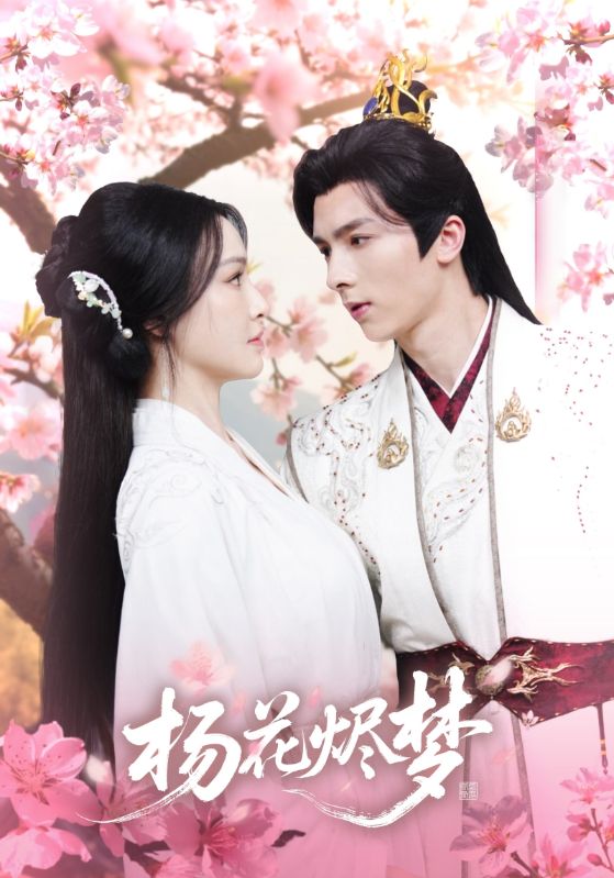 扬花烬梦影视海报