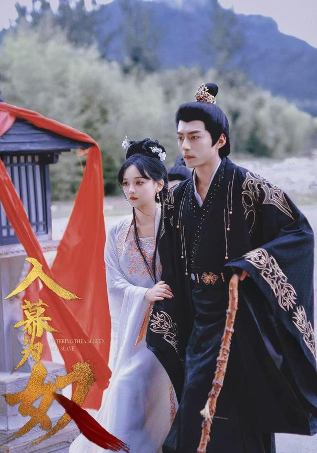 入幕为奴影视海报