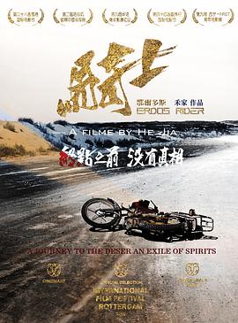 鄂尔多斯骑士影视海报