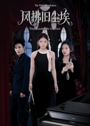 风拂旧尘埃影视海报