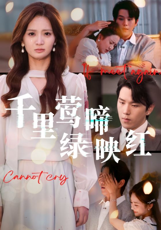 千里莺啼绿映红影视海报