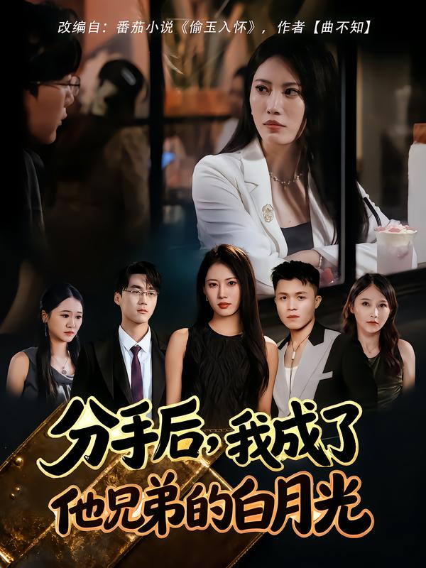 分手后-我成了他兄弟的白月光影视海报