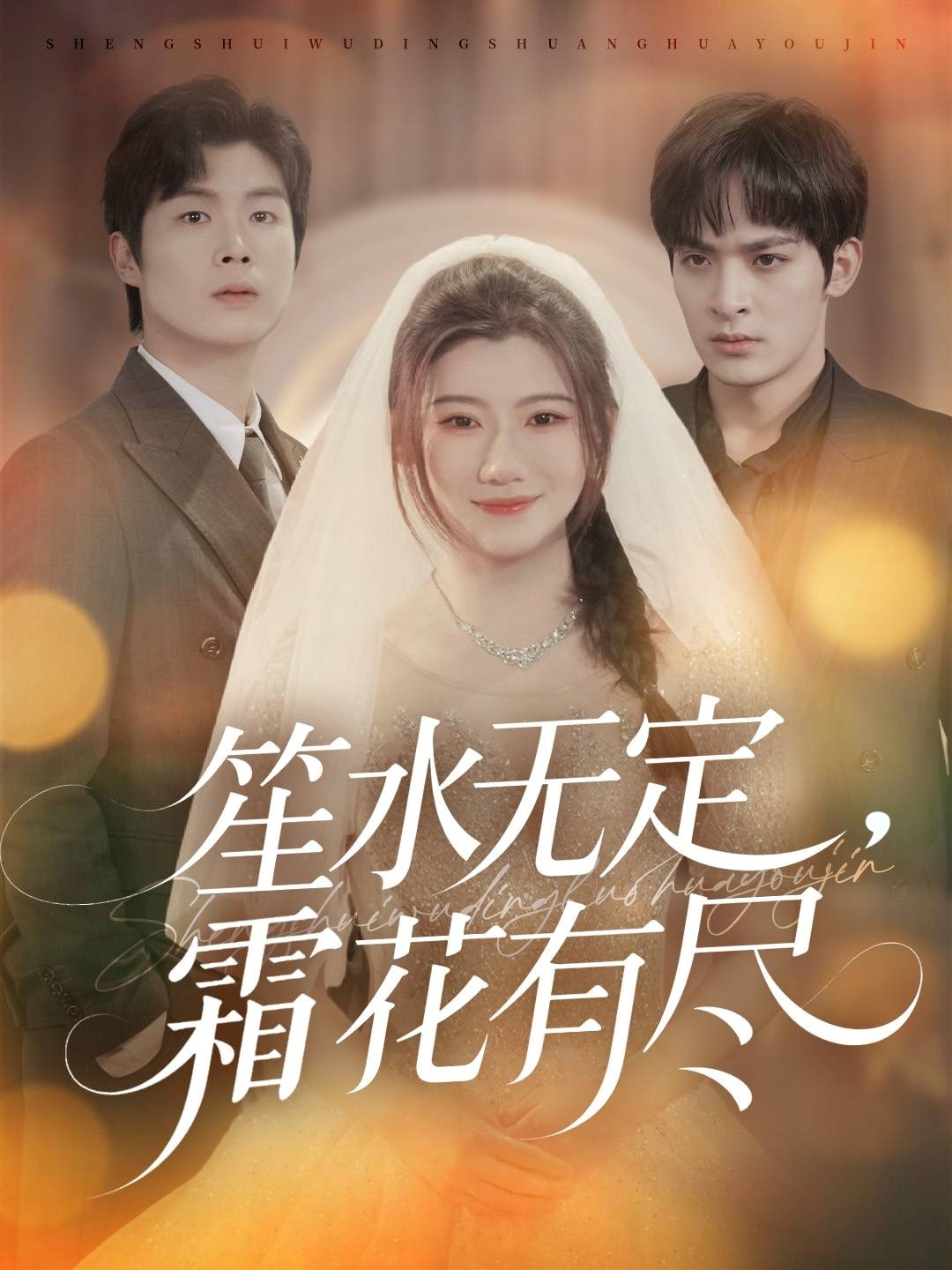 笙水无定，霜花有尽影视海报