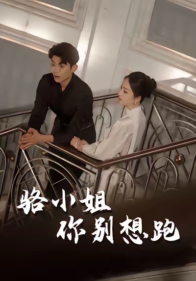 骆小姐你别想跑影视海报
