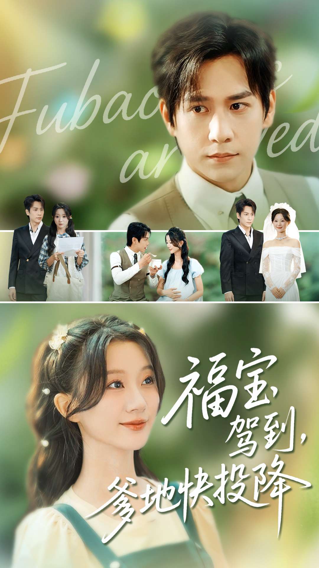 福宝驾到，爹地快投降影视海报