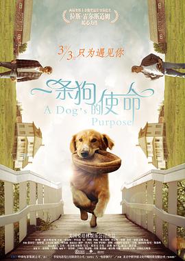 一条狗的使命2影视海报