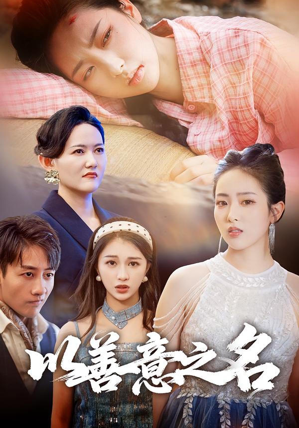 以善意之名影视海报