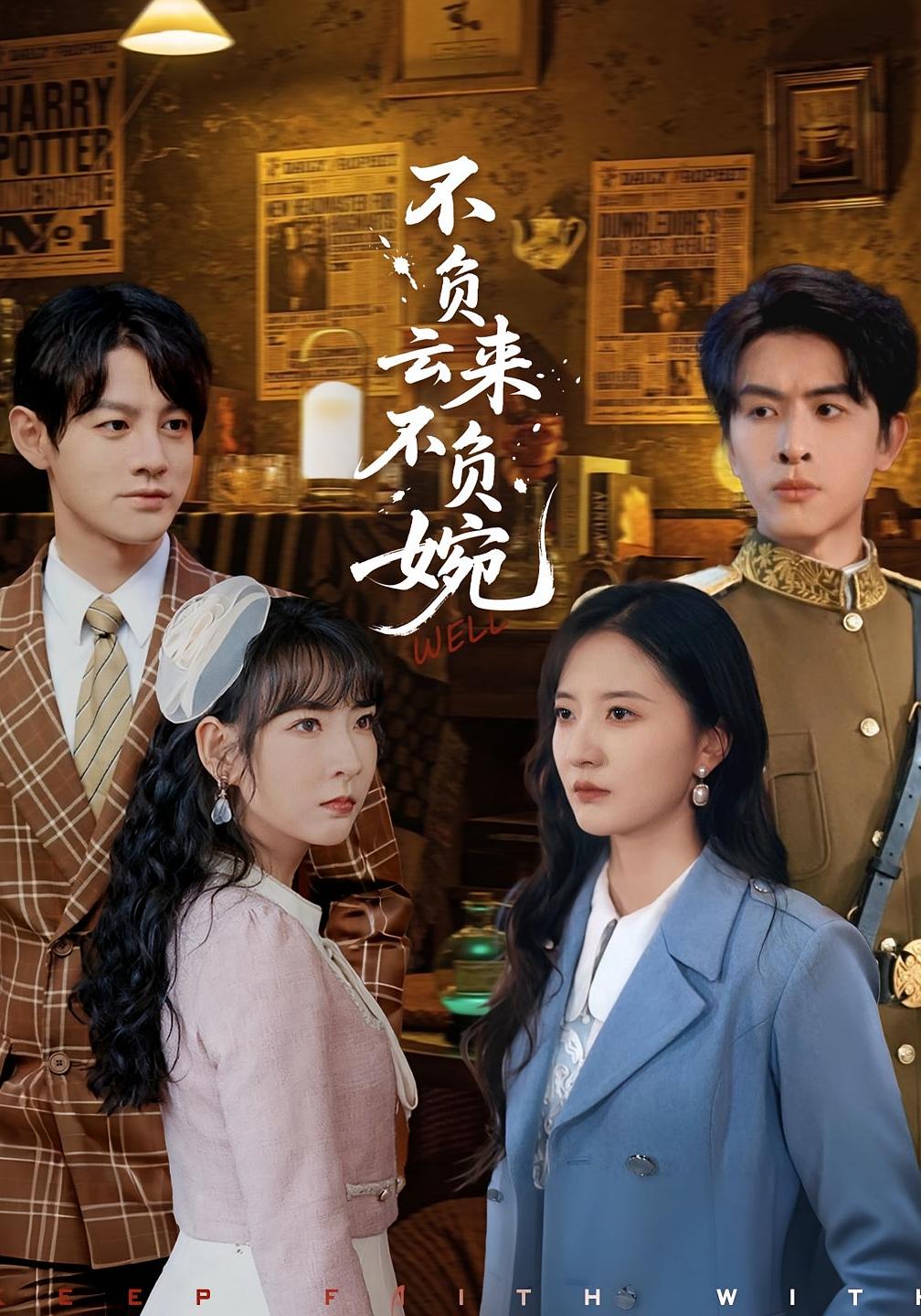 不负云来不负婉影视海报