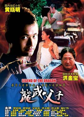 龙威父子影视海报