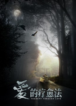 爱的疗愈法影视海报
