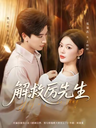 解救厉先生影视海报