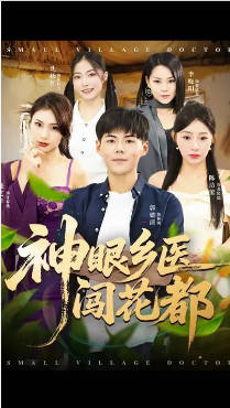 神眼乡医闯花都影视海报