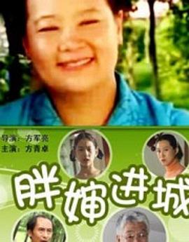 胖婶进城影视海报