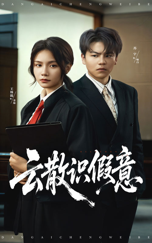 云散识假意影视海报