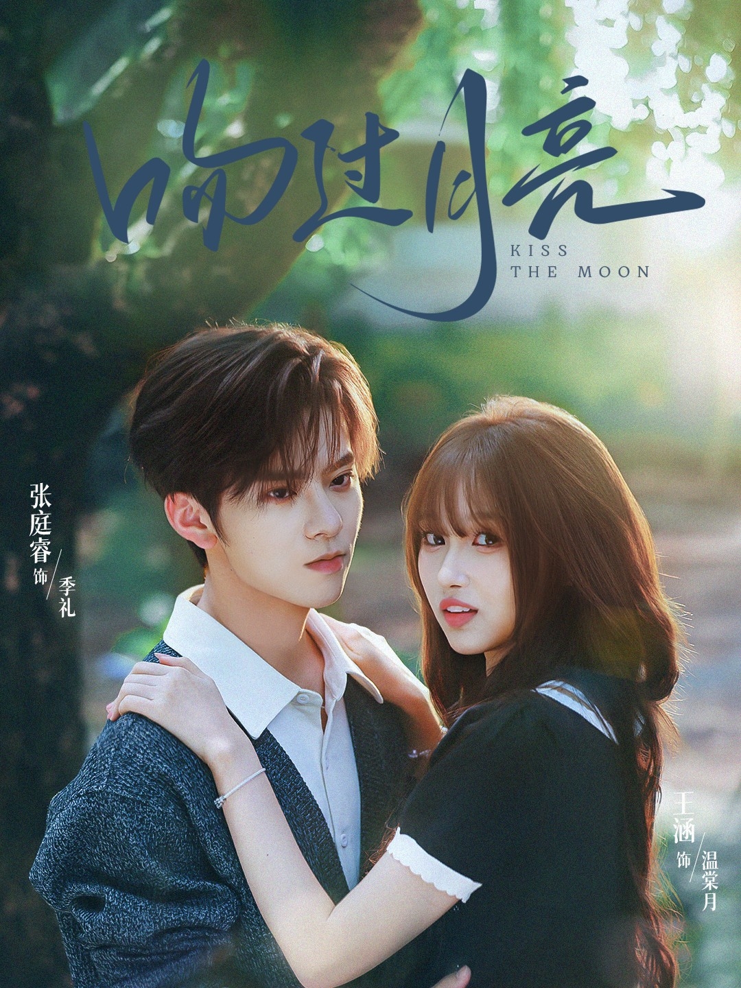 吻过月亮影视海报